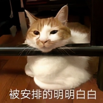 保险公司团队名字有创意好听,保险公司取名