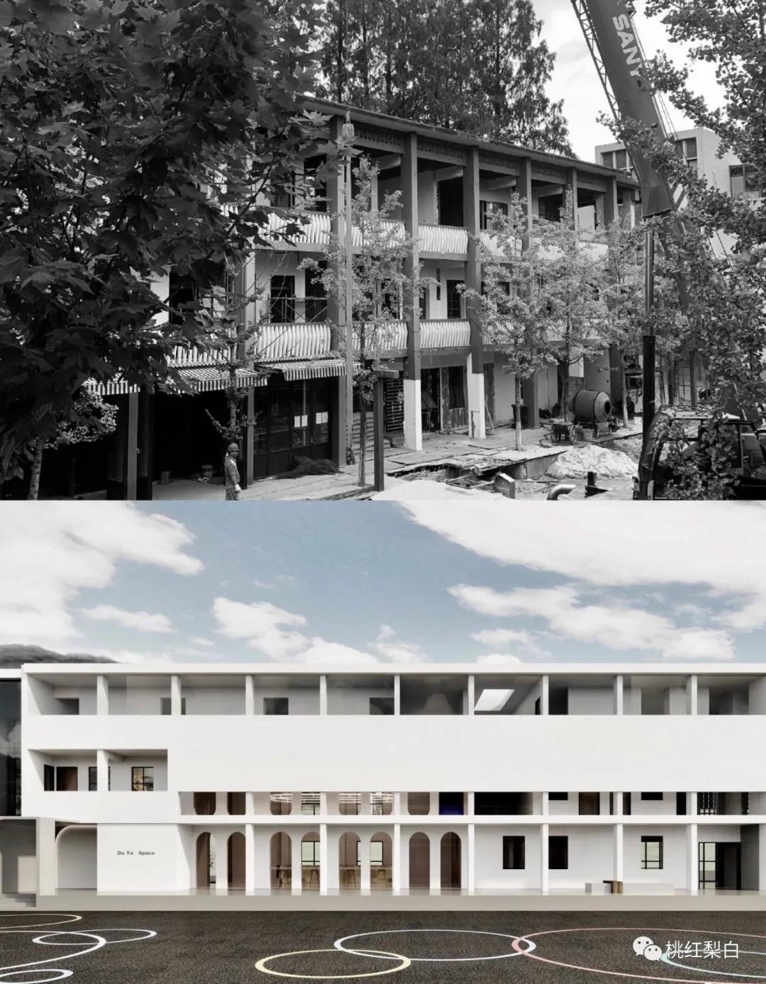 章泽天与董花花的关系,章泽天董花花