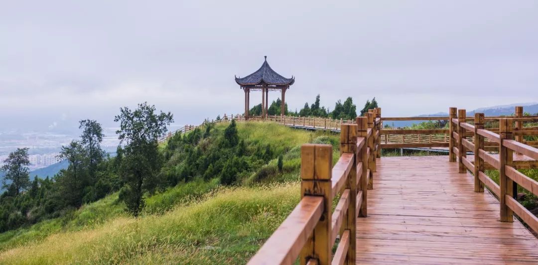 淮口镇占不占四川省百强镇,成都金堂县淮口镇未来发展