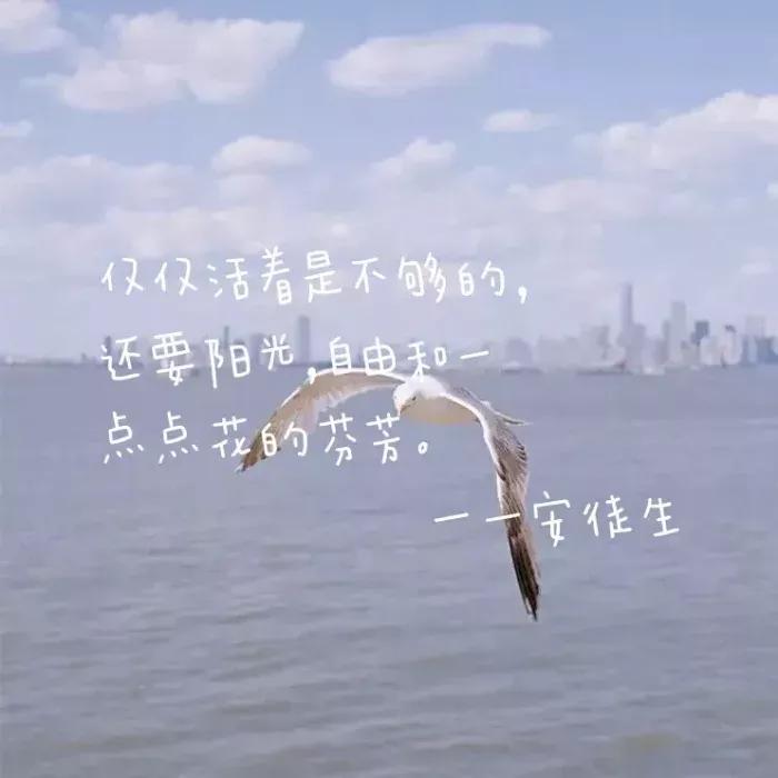 如何与自己相处才是你的根本,如何与自己相处阅读答案