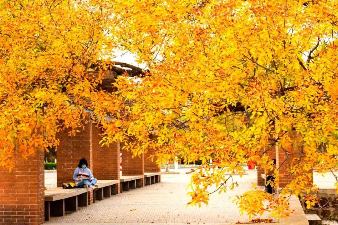天津市普通高等院校,天津师范高等专科学校