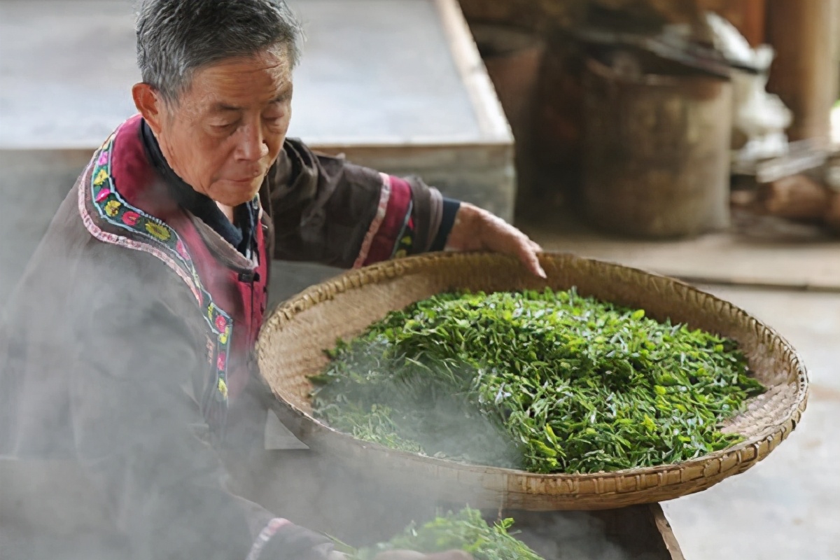 蒸青与炒青有什么区别,制茶工序中蒸青和炒青有什么区别