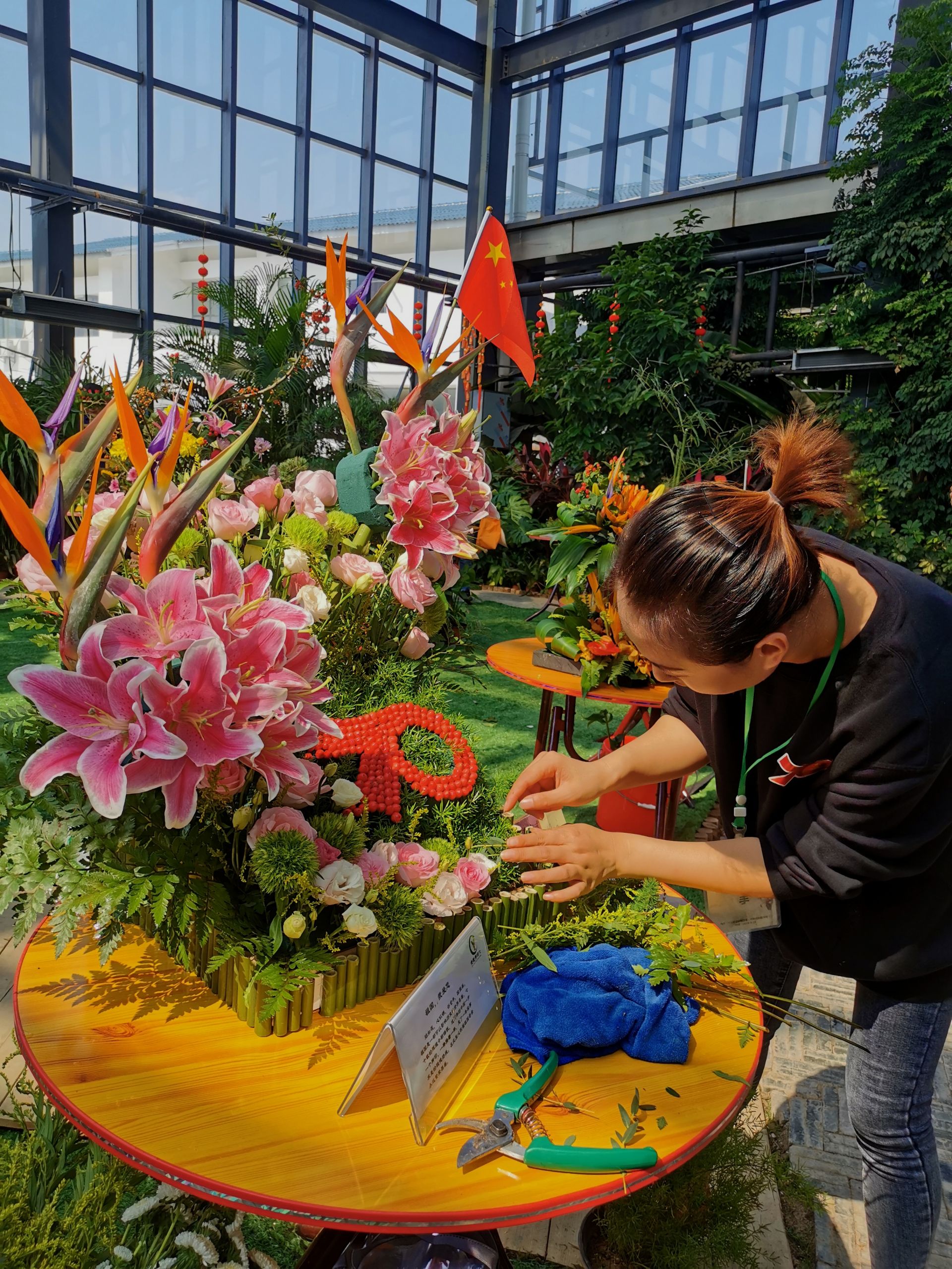 国庆去哪儿南国花锦,国庆去月季公园