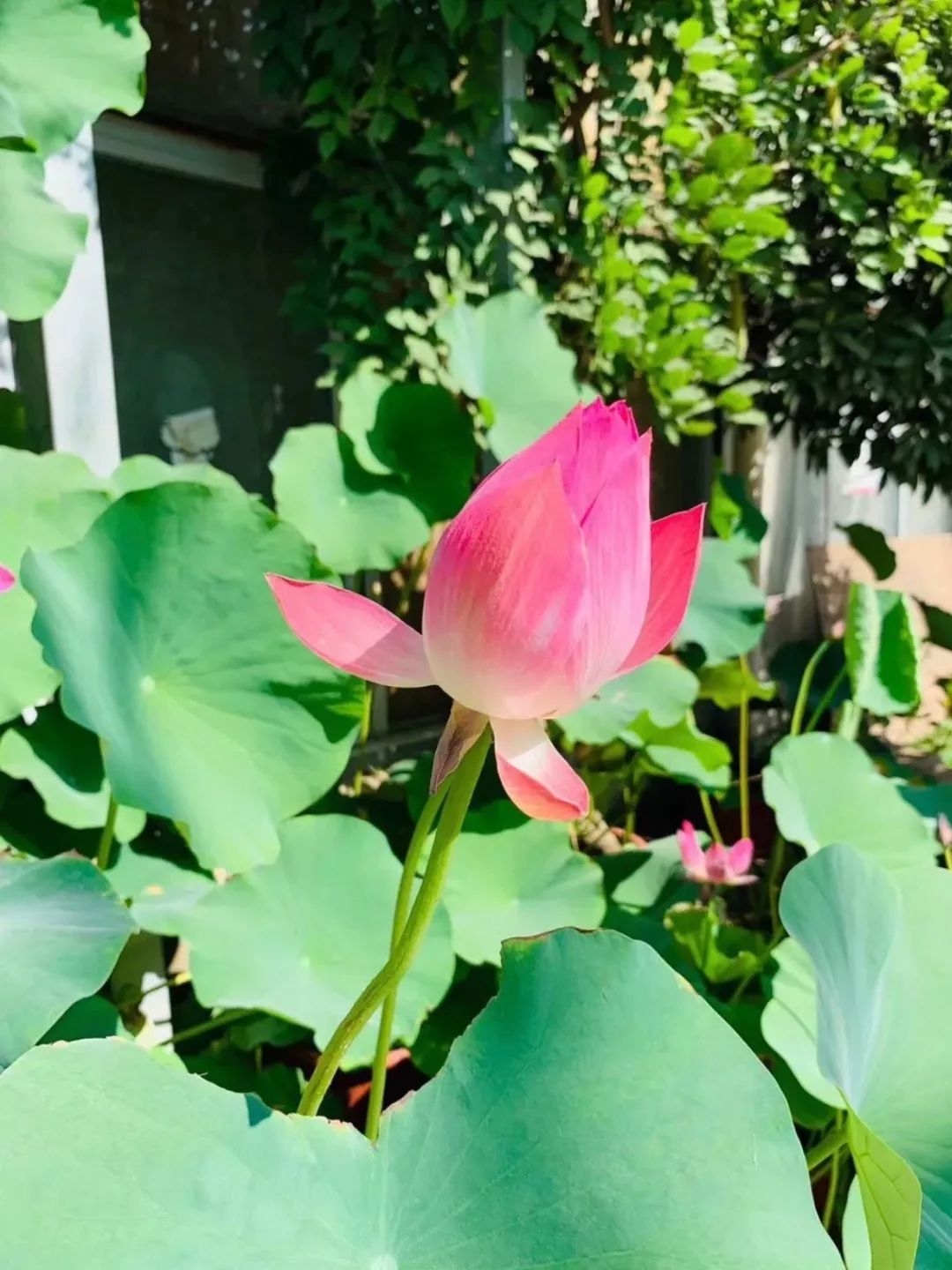 西安批发市场大全,西安最全批发市场地址