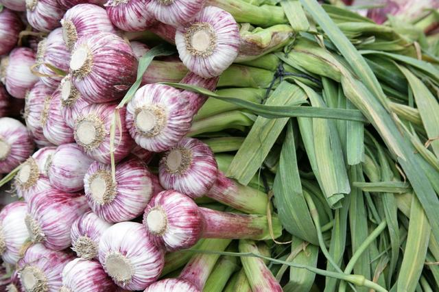 今年的大蒜价格还会走高吗？老农告诉你