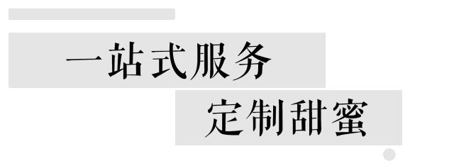 童话变现实！魔都宇宙级城堡婚礼，比爱丽丝仙境还美！