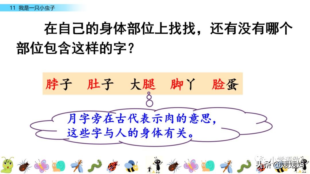 二年级下册我是一只小虫子课后题,二年级下册语文11我是一只小虫子