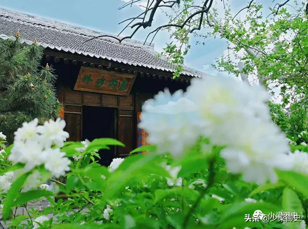 陕西韩城状元府,陕西韩城状元府视频