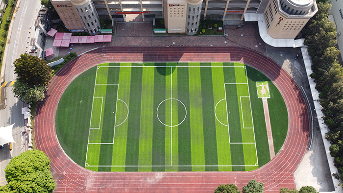 体育场人造草坪哪家好,如何选择草坪