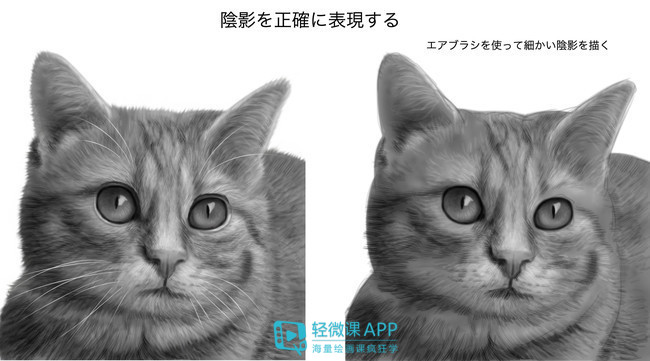 动物的脚印可以怎么画成小动物,小动物和动物妈妈温暖的简笔画