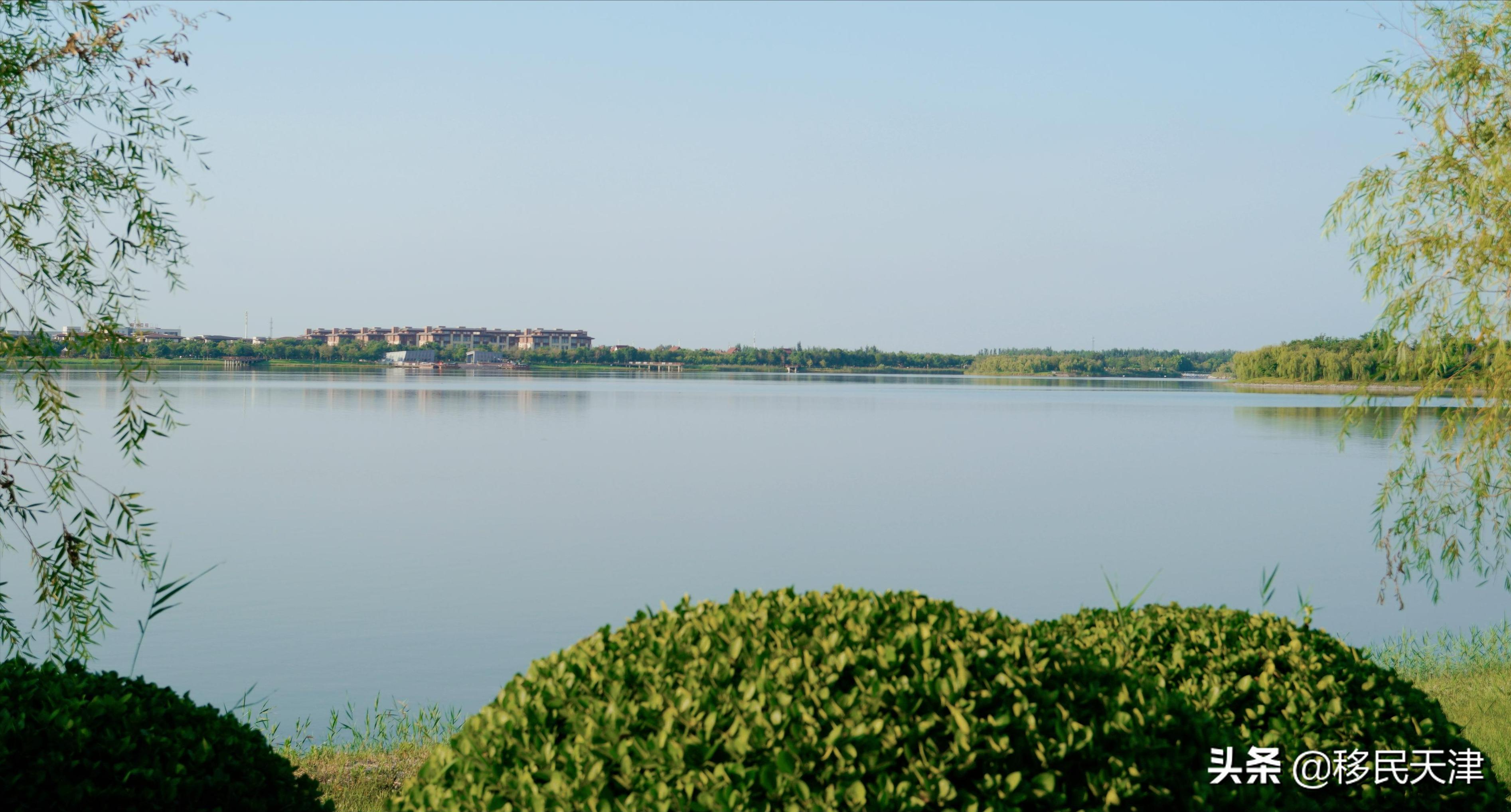 天津武清南湖片区房价,天津武清南湖板块发展