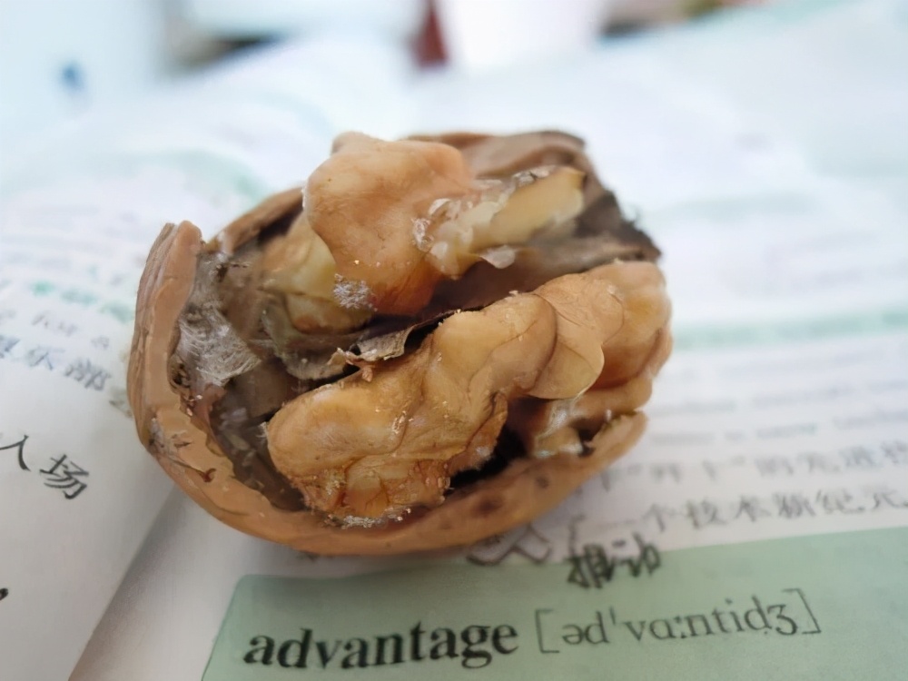 狗能吃腰果么,狗能吃油炸花生吗