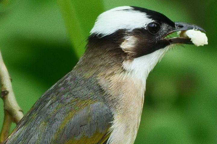 松下lumixs5评测令人难以置信,松下lumixs1r配什么镜头最好