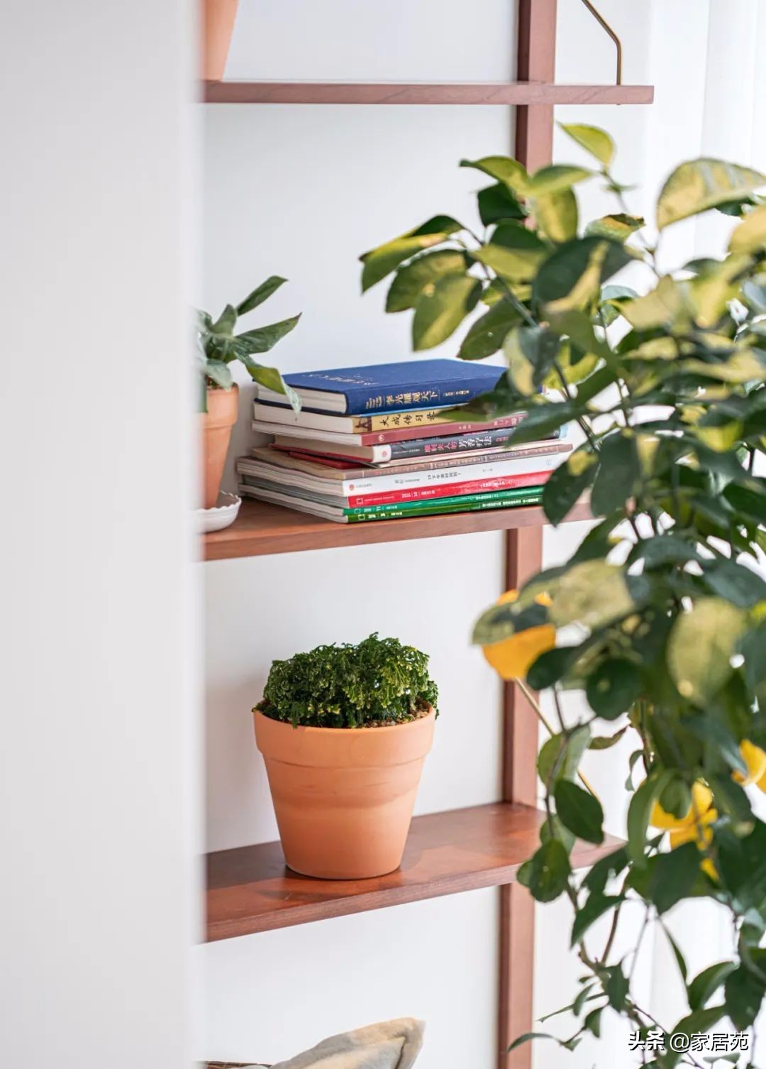 111㎡暗房惊艳翻身,简洁又耐看,还有超强储物力!