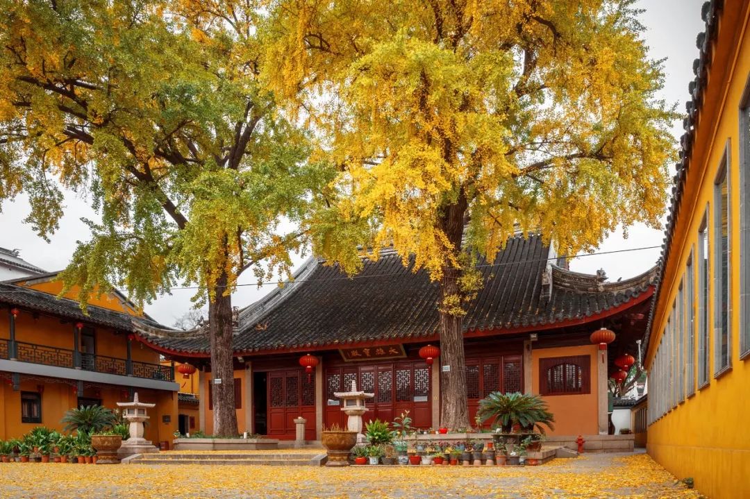 一入秋苏州成姑苏,秋色一入秋苏州就成了姑苏