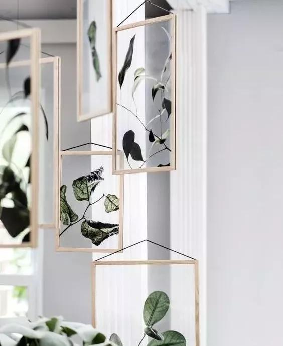 她用这种高颜值的干花装饰家里，隔壁邻居都惊叹不已