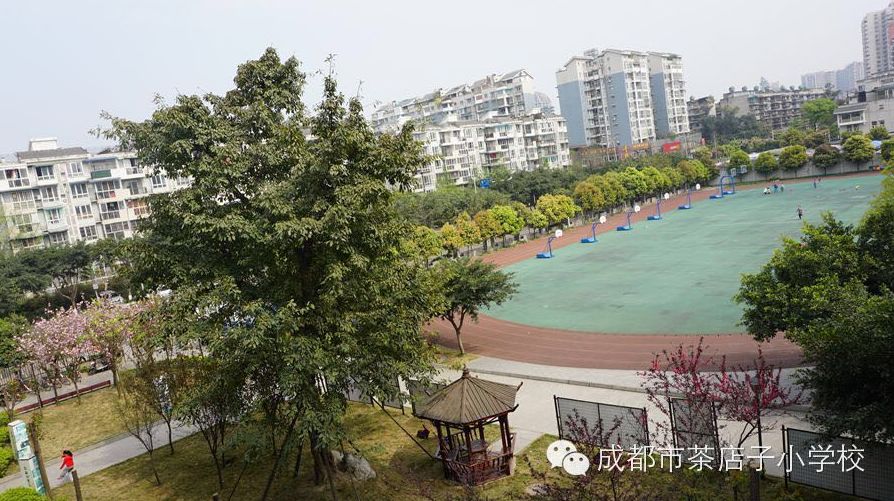 金牛区各小学排名,三驾马车学校怎么样