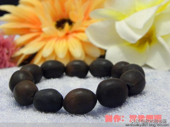 木鱼菩提子的种类全图解,菩提子手串种类图