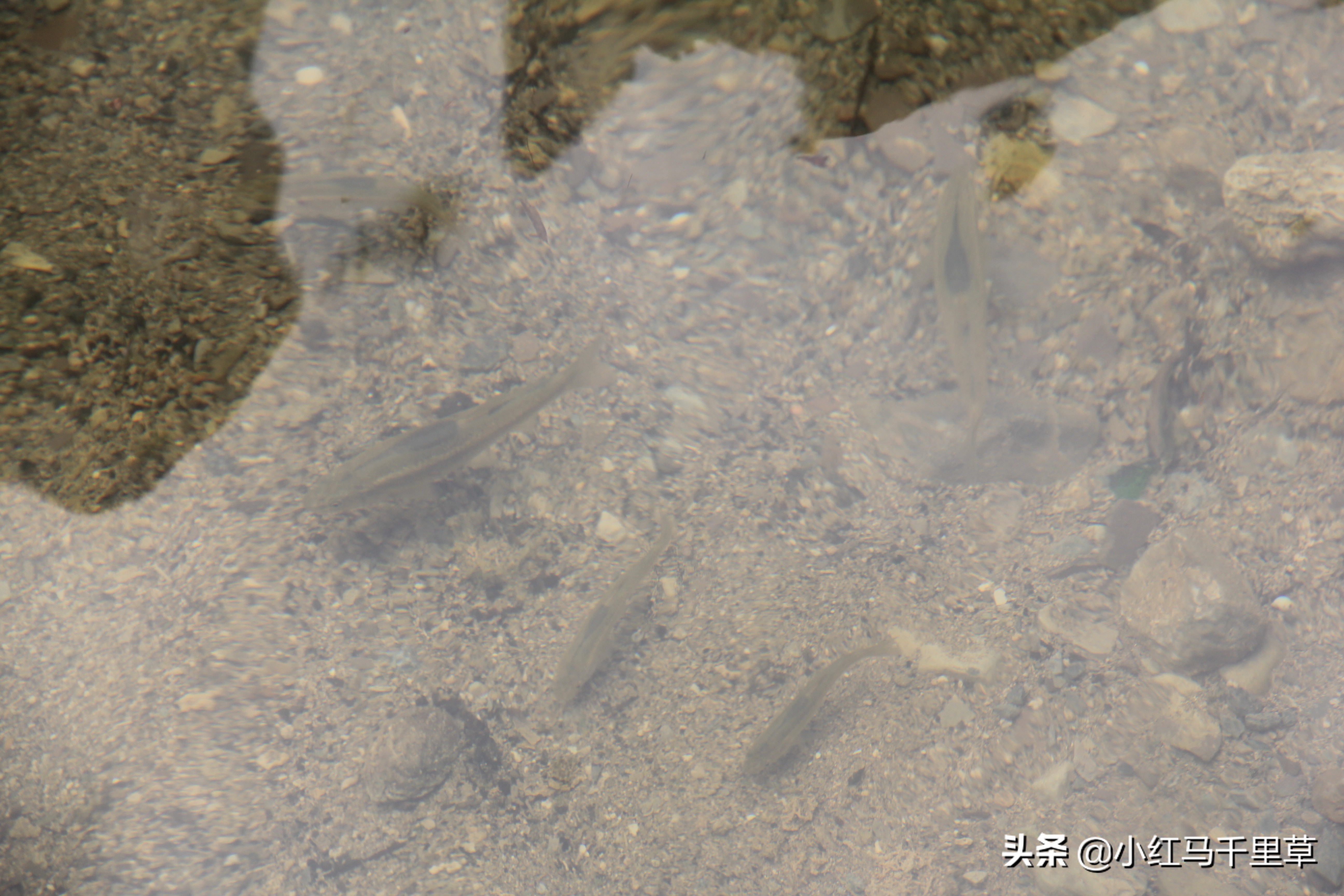 焦作云台山徒步攻略,河南云台山之旅