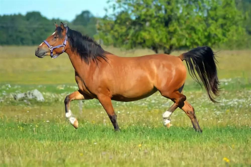 澳大利亚旅游实用贴士,澳大利亚旅游指南文章