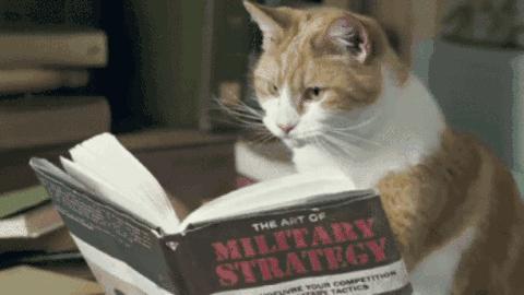 网购商家不发货法律规定怎么赔偿,网购出现问题商家不退款怎么办呢