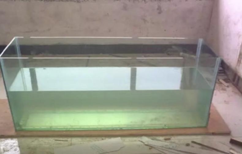 哪些废水可以浇花,生活废水怎么处理后可以浇花