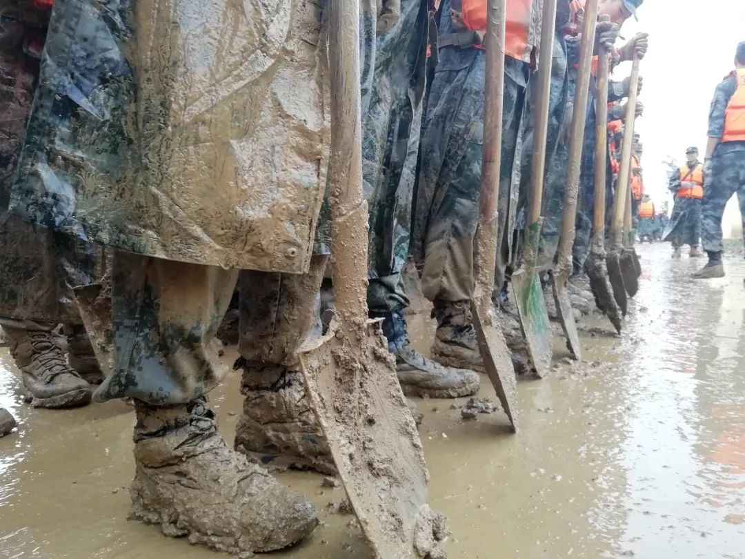 视点|看了才信!这个旅的“生命线”活力迸发