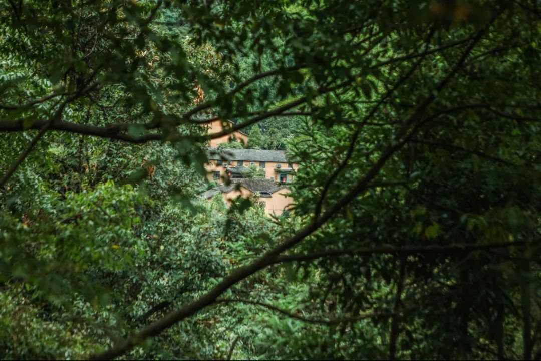 金华小九寨风景区,小九寨原始森林半日游