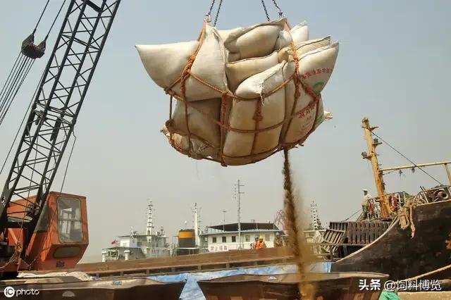 玉米市场跌势明显，拍卖成交再破新低！！！