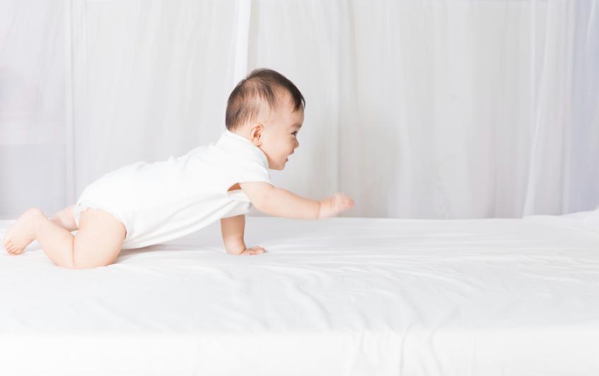 宝宝过敏的高蛋白食物,高蛋白过敏宝宝饮食