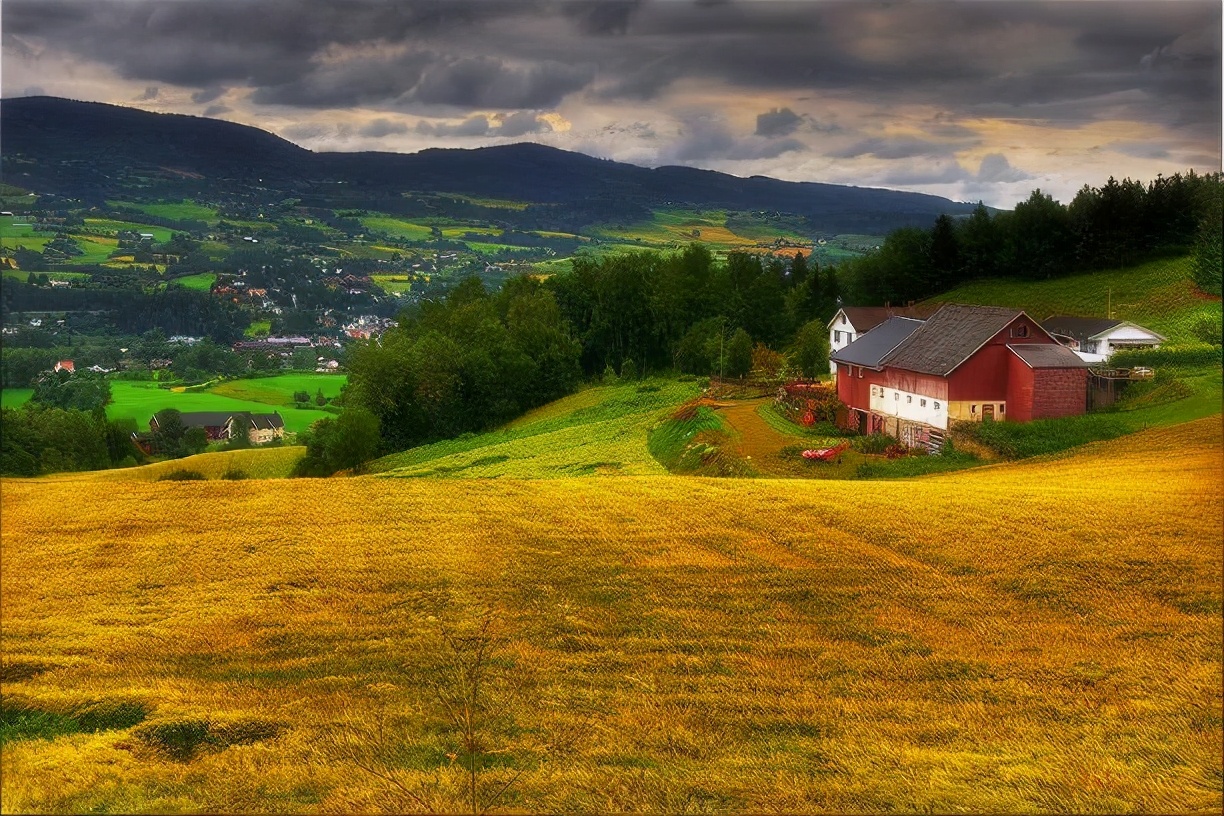 交易中的假象,本次交易存在欺诈行为如何解决