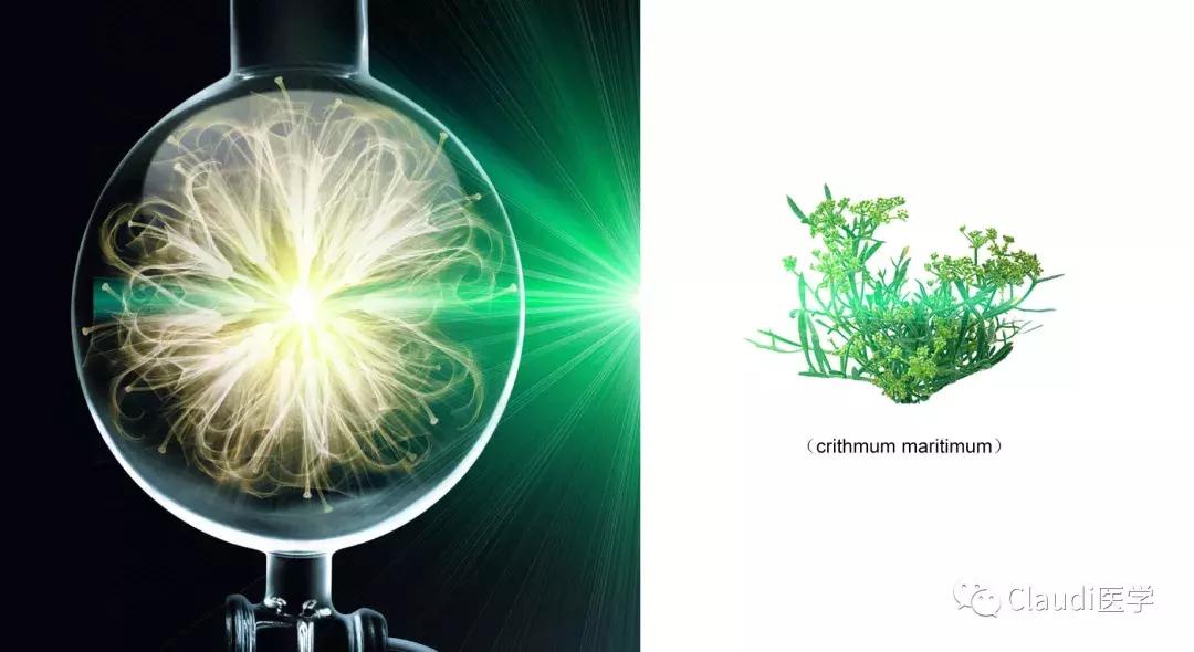 瘫痪还能重新走路吗,瘫痪下肢可以恢复吗