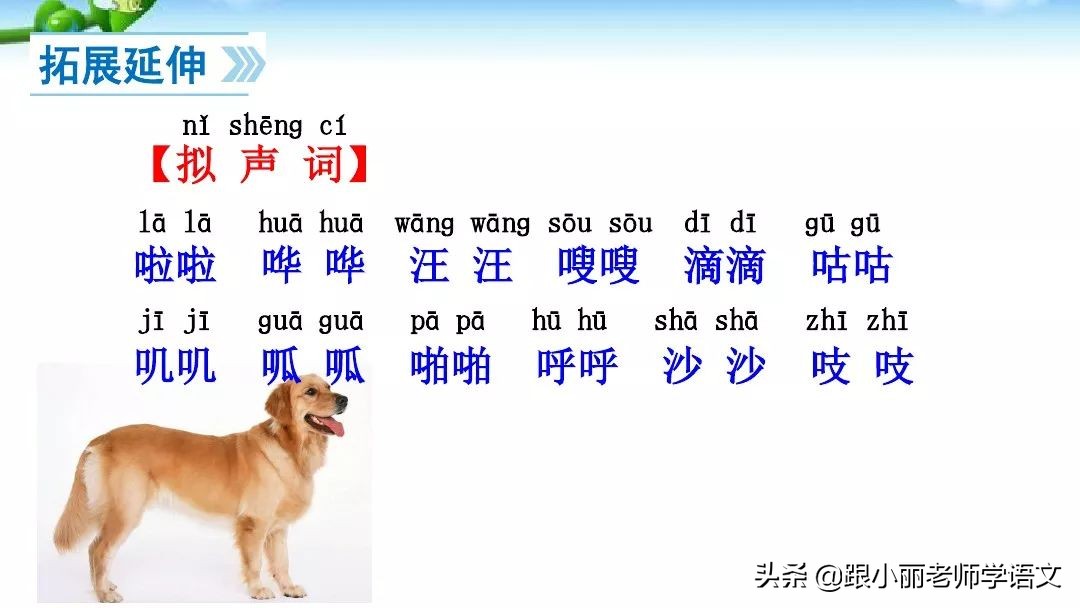 一年级语文上册青蛙写诗教学视频,一年级语文青蛙写诗模拟试讲视频