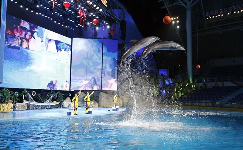 重庆永川区旅游景点乐和乐都,重庆乐和乐都游览图