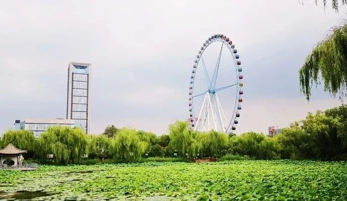 济南动物王国一日游详细攻略,济南一日游动物园