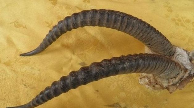 盘点文玩圈中不能碰的五种文玩,这6种文玩一定不要碰太吓人了