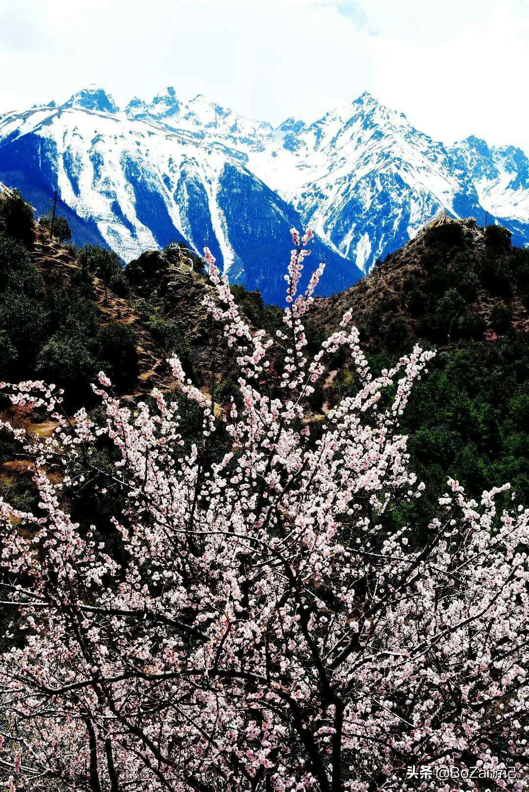 云南旅游攻略最佳线路洱海,到云南旅游必去景点推荐