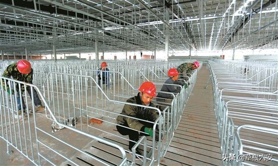 安徽六安有没有赚钱项目,六安新型创业项目