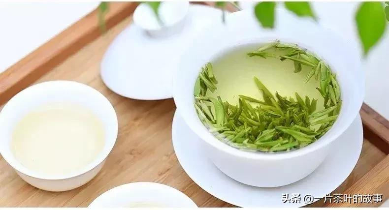 不同种类茶的辨别,茶类鉴别