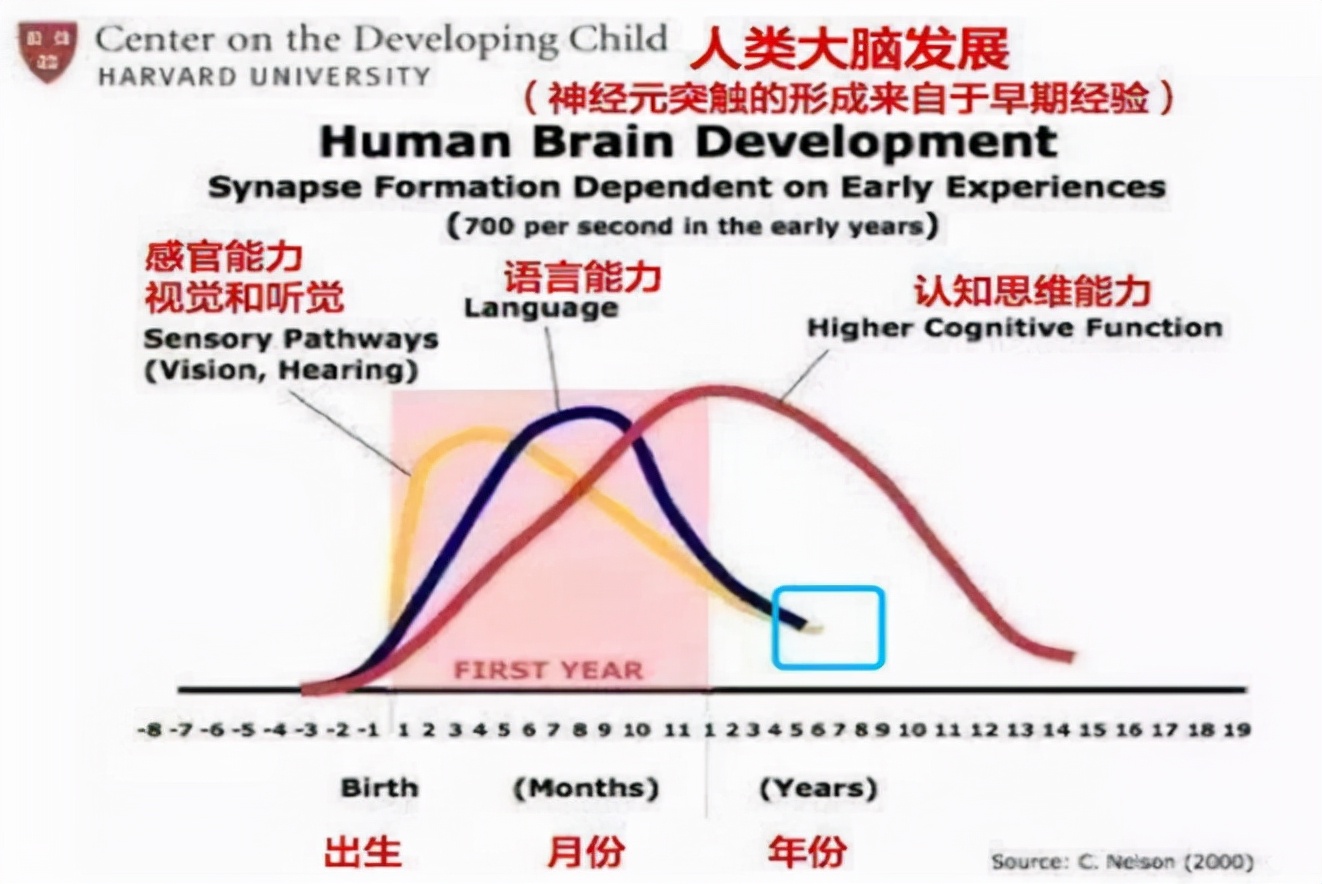 孩子大脑发育没成熟怎么办,不要错过孩子大脑发育