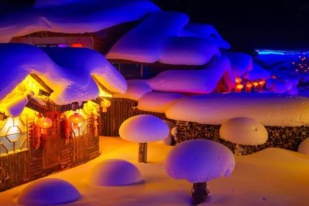 哈尔滨冰雪世界研学,新启元厦门暖冬研学营