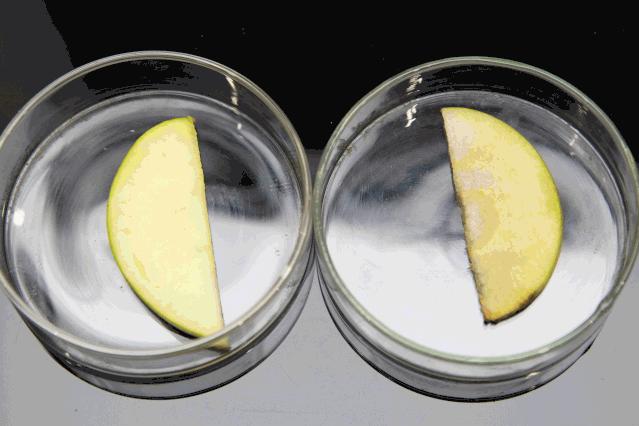 修丽可日夜抗氧礼遇,圣诞礼遇季豪礼享不停