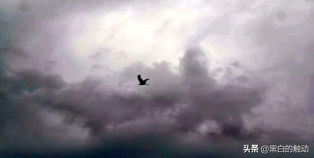 都说新疆好去新疆发展可靠么,都说新疆好地方