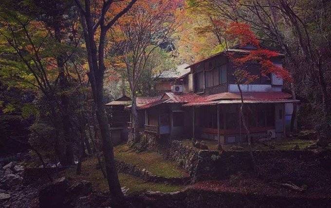 和大家一样去了大阪，但我不想随波逐流