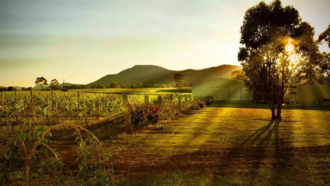 悉尼有多迷人,悉尼为什么是澳洲最宜居城市