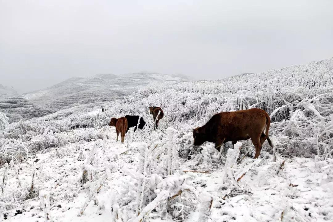 湖南湘西神秘风景,湘西人间仙境风景区