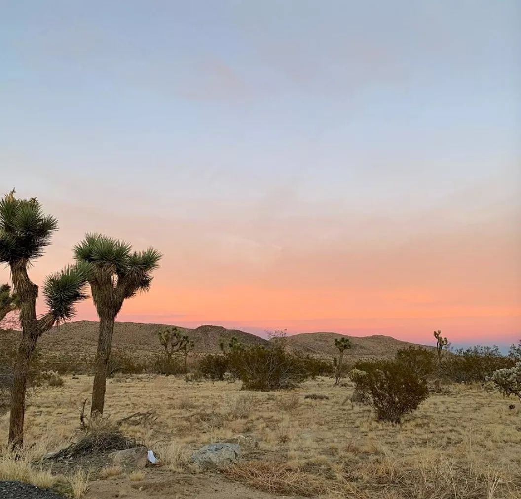 chanel法式经典小香风,80年代的chanel