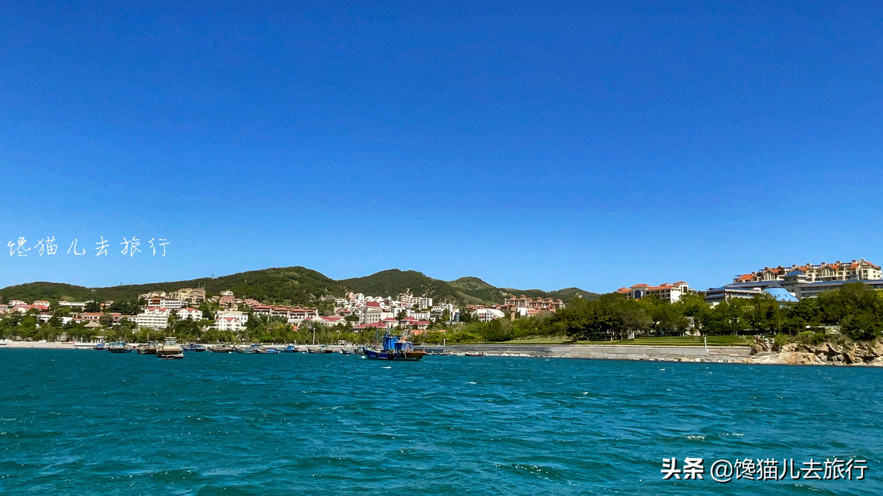 实拍威海海参打捞，如何分辨野生还是养殖？海参排泄物居然能吃