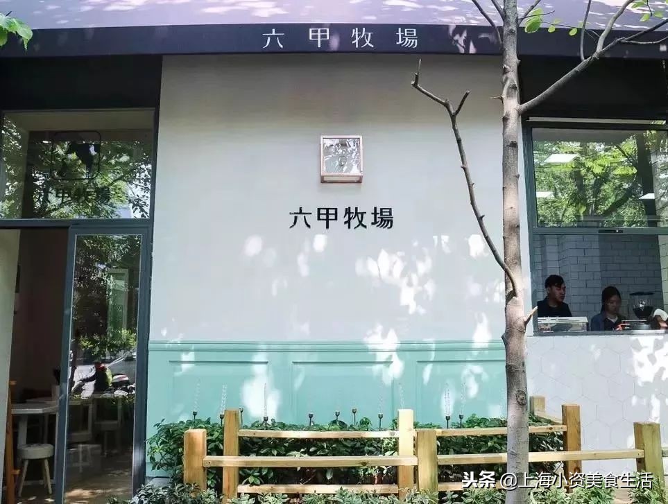 大锦鲤top店,大锦鲤适合吃的鱼食