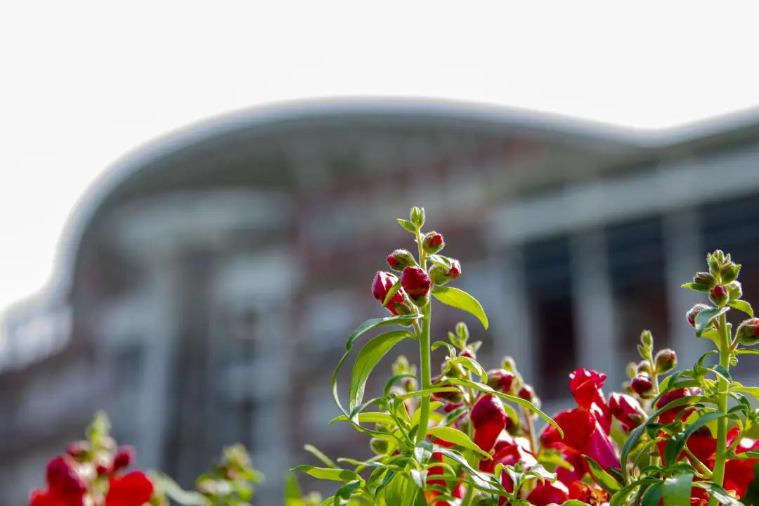 杭州美职学校风景,杭州美丽学校评选